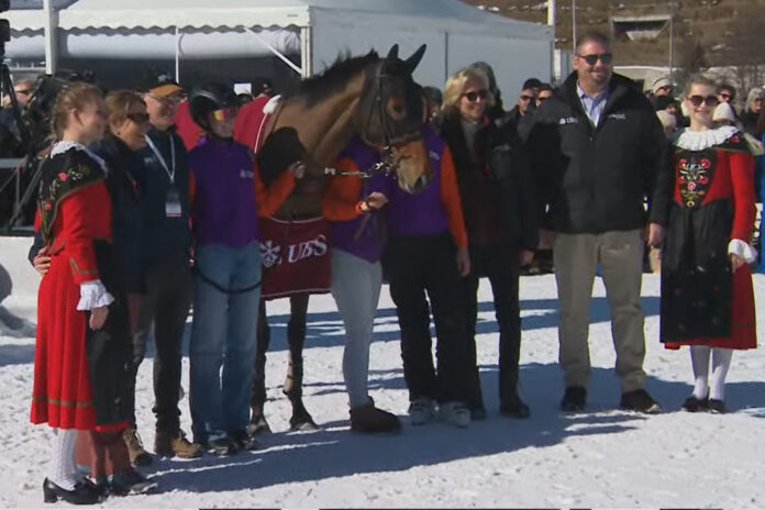 Almacado Gree gewinnt auch das zweite Skikjöring Foto: Screenshot Almacado Gree gewinnt auch das zweite Skikjöring Foto: Screenshot