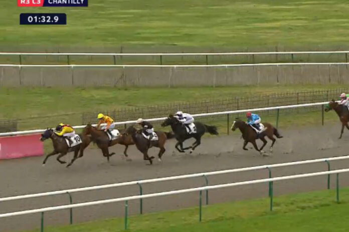 Dapango gewinnt in Chantilly Foto: Screenshot