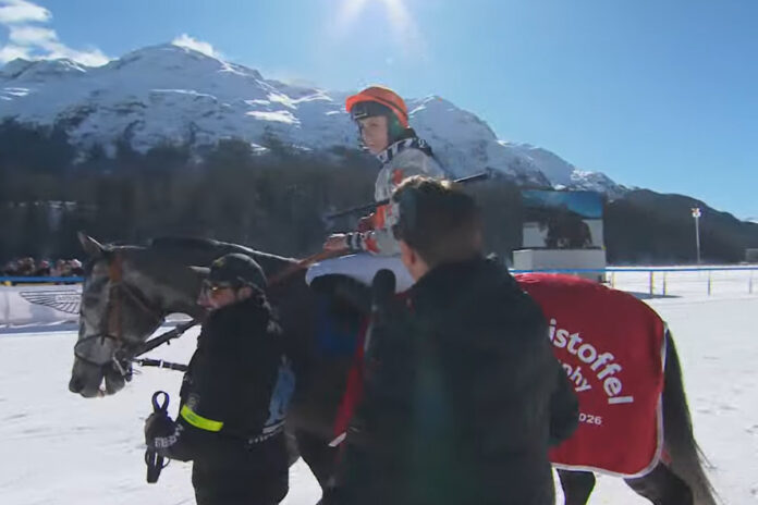 Dressman nach dem Sieg in St. Moritz Foto: Screenshot Dressman nach dem Sieg in St. Moritz Foto: Screenshot