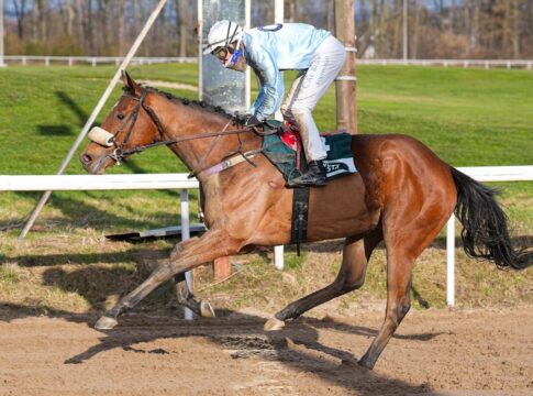 Grand Attentionne siegt unter Alexander Pietsch