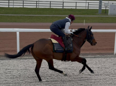 Iradie Foto: Gaelle Gernay