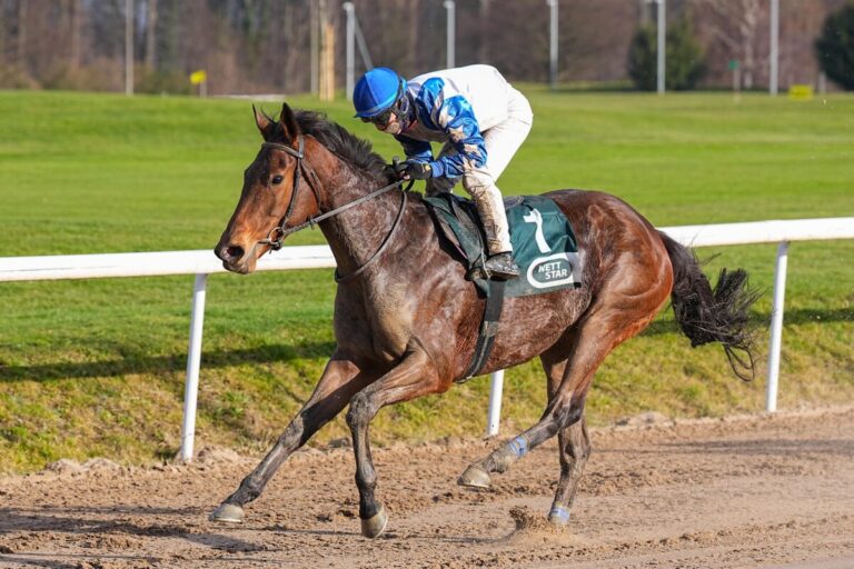 8,2:1 – Viel Geld für Ireland Alexander und Korpas in der Stallparade