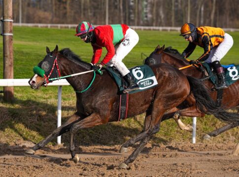 Maharani siegt unter Leon Wolff