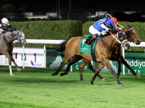 Reef Runner (Foto: Sorge)