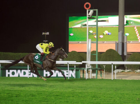 Royal Champion (Foto: Sorge)