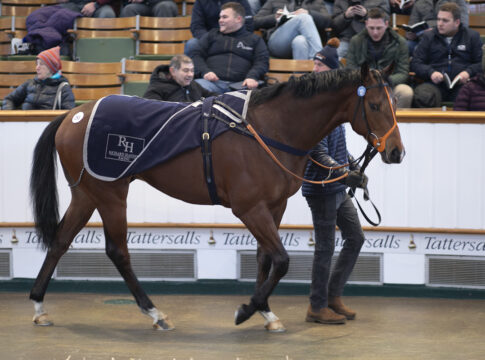 Space Invasion Foto: Tattersalls