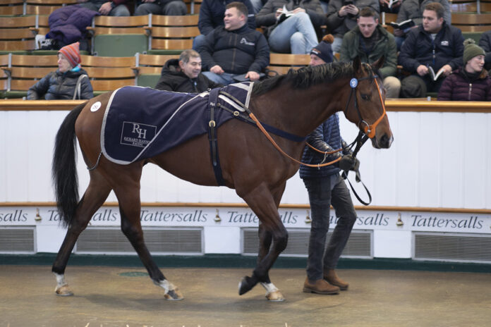 Space Invasion Foto: Tattersalls