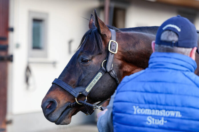 Sands of Mali (Foto: Effgen)