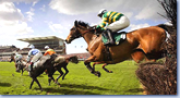 Göbel sicher: Die Party ist besser als Cheltenham Göbel sicher: Die Party ist besser als Cheltenham