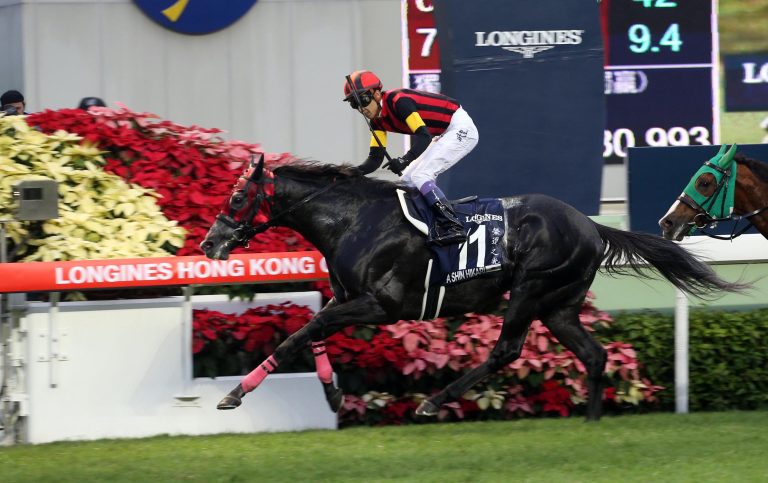 Für 387:10! A Shin Hikari holt den „Cup“