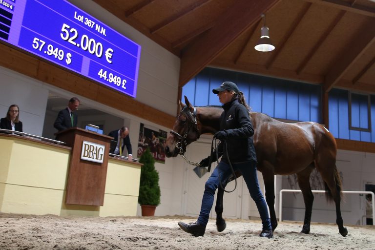 Wyss kauft Soldier Hollow-Sohn für 52.000 Euro