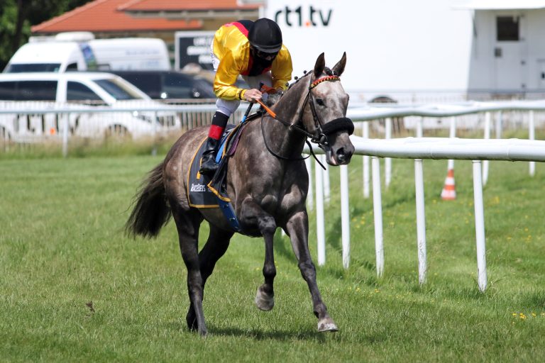 Grand Prix-Aufgalopp in Düsseldorf