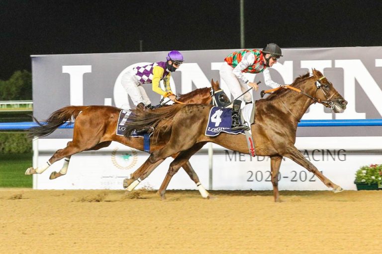 De Vries auf Brraq Foto: dubairacingclub.com