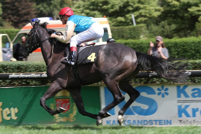Klug mit starker Hand ins Schwarzgold-Rennen