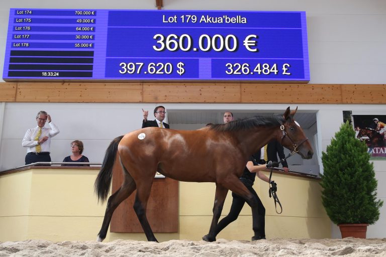 Stute für 360.000 Euro – Godolphin in Kaufrausch