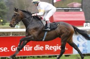 Maisons-Laffitte:Hofers Al Malek F?nfter im Prix Djebel