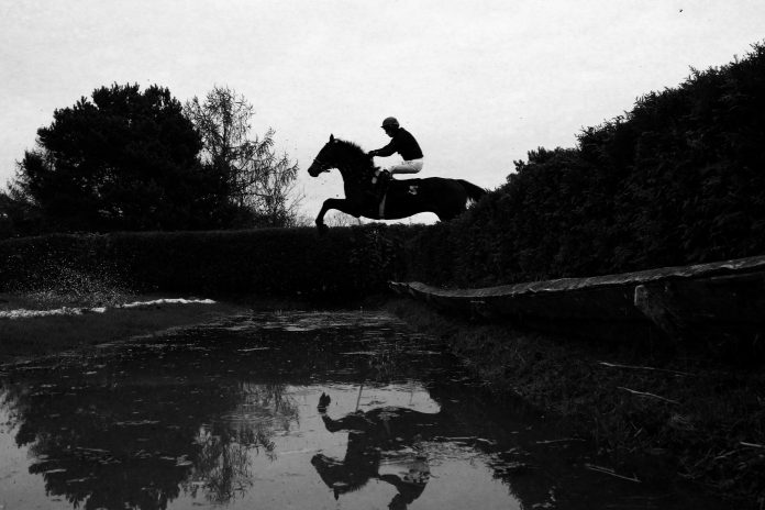 alan_king
