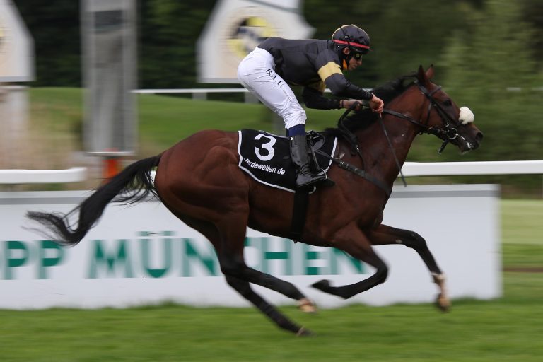 Das Klein-Doppel: Alario und Indian Soldier top
