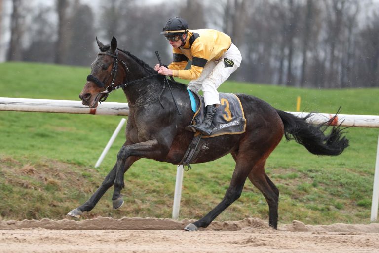 Vorletzte Dirt-Runde der Saison 2018/19 Vorletzte Dirt-Runde der Saison 2018/19