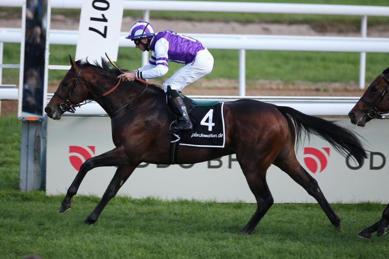 All for Arthur am Freitag im Prix Turenne All for Arthur am Freitag im Prix Turenne