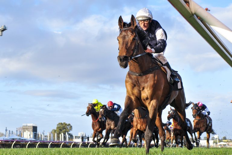 Melbourne Cup-Sieger Almandin beendet Rennkarriere Melbourne Cup-Sieger Almandin beendet Rennkarriere