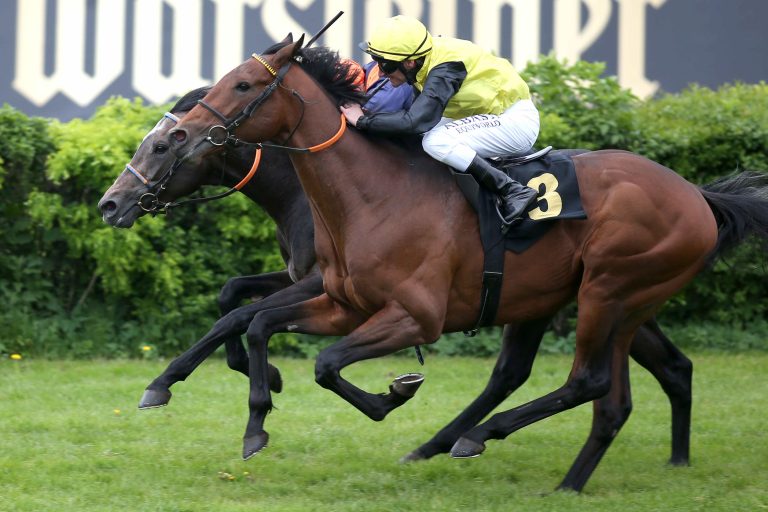 Welch ein Finish! Andoro ringt Calico nieder