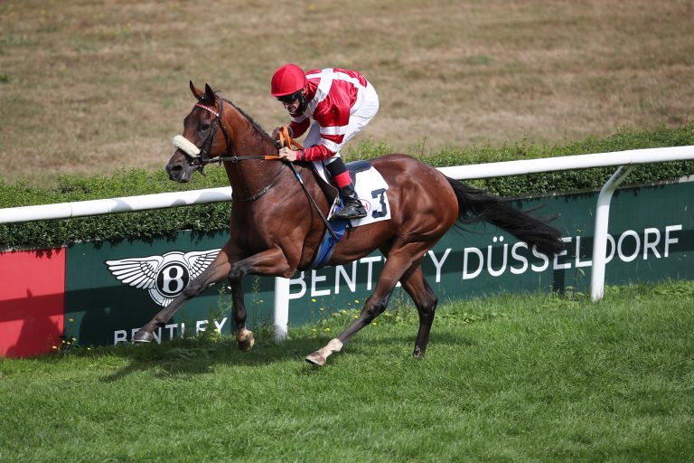 Andrew