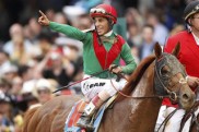 animal_kingdom_gol_2