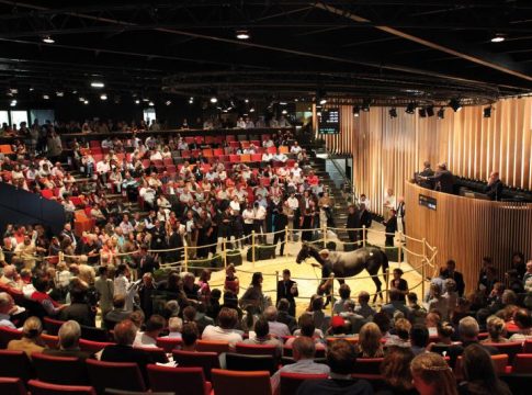 Arqana Auktionshalle