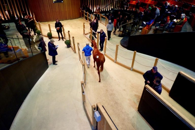 Cemil Duran kauft bei der Arqana Vente de Yearlings de Novembre