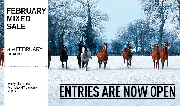 Deutsche Elemente bei Arqanas February Mixed Sale