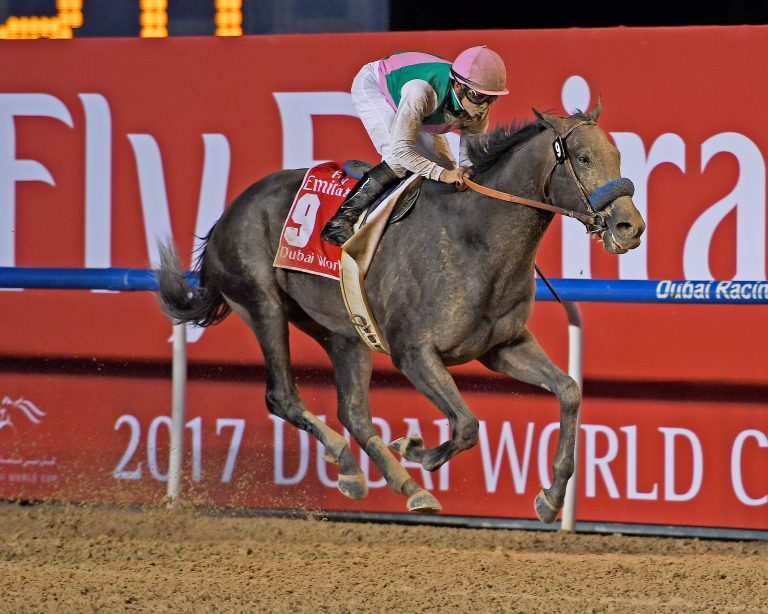 World Ranking: Arrogate top – „Dschinigs“ auf Platz 36 World Ranking: Arrogate top – „Dschinigs“ auf Platz 36
