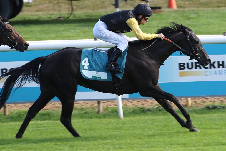 Geht’s wie 2012? Moser mit Duo in Summer Stakes