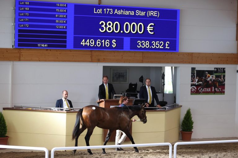 Sea The Stars-Tochter bringt 380.000 Euro!