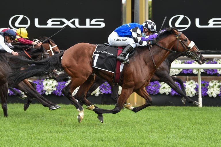 Ex-Deutsche Ashrun und Loft im Sydney-Cup wieder gegeneinander?