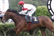Drei Ittlinger auf Tattersalls-Newmarket-Auktion verkauft Drei Ittlinger auf Tattersalls-Newmarket-Auktion verkauft