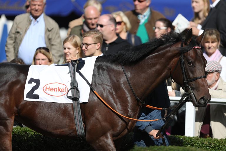 Noch 74 im IDEE 149. Deutschen Derby Noch 74 im IDEE 149. Deutschen Derby