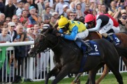 W?hler: ?Der Japan Cup w?re Novellists letztes Rennen!‘