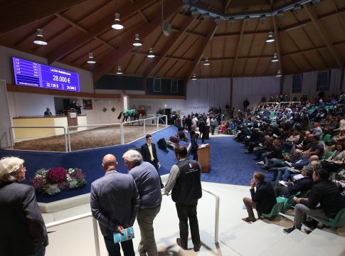 Katalog für die BBAG Frühjahrs-Auktion jetzt online