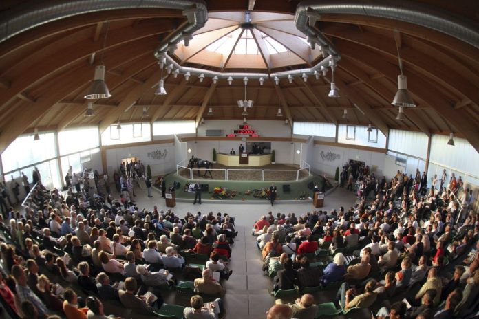 bbag_halle_innen_fischauge