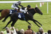 Schiergen jr. machte Starke aus Sha Tin zum Champion