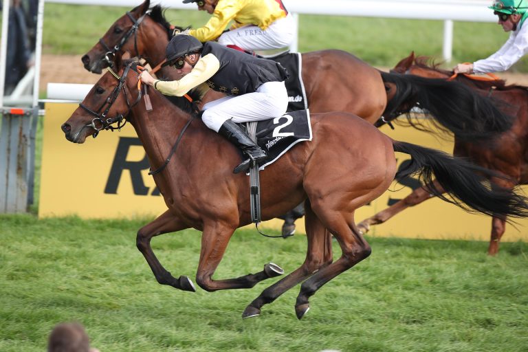 Dynamic Kitty imponiert – Best on Stage siegt knapp