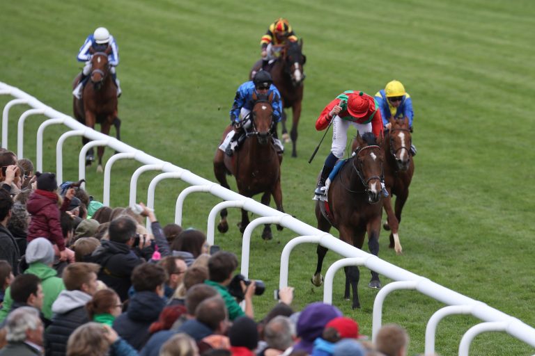 Derbyfavorit Boscaccio untermauert seine Position Derbyfavorit Boscaccio untermauert seine Position