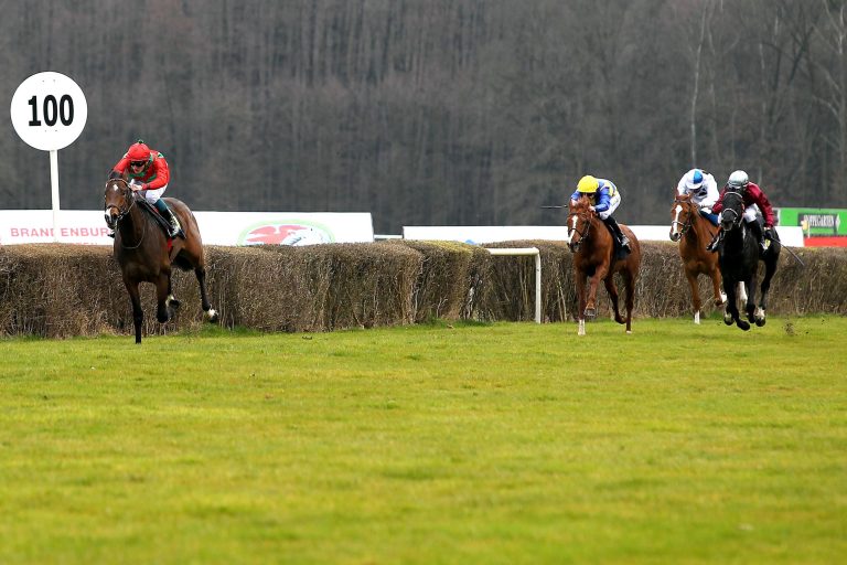 Derby-Favorit übt auf der Heimatbahn Derby-Favorit übt auf der Heimatbahn