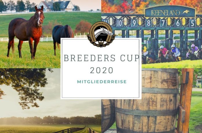 bv_mitgliederreise