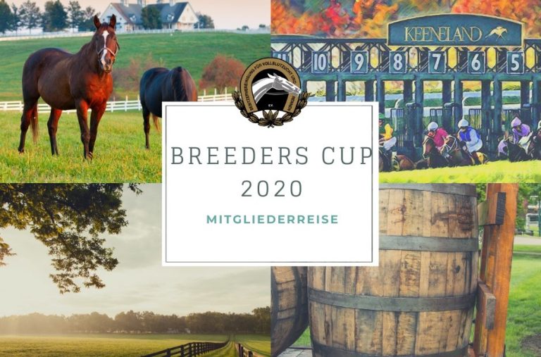 BV-Reise zum Breeders‘ Cup in Lexington