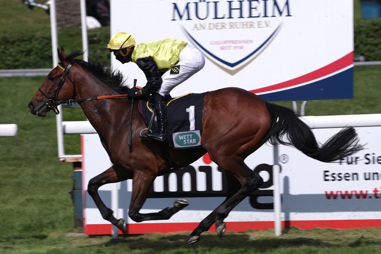 Ex-Deutscher Calico siegt in Southwell