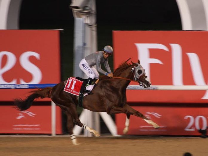 california_chrome_3