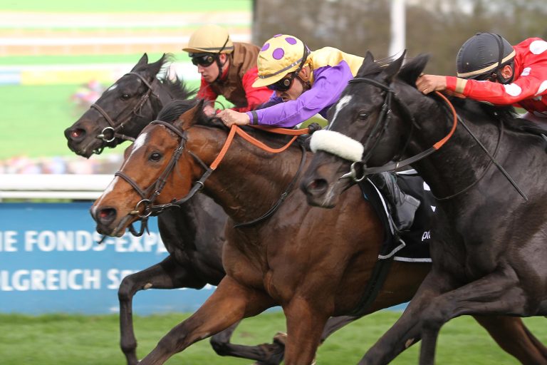 Trainer Bolte der Frühaufsteher in Dortmund