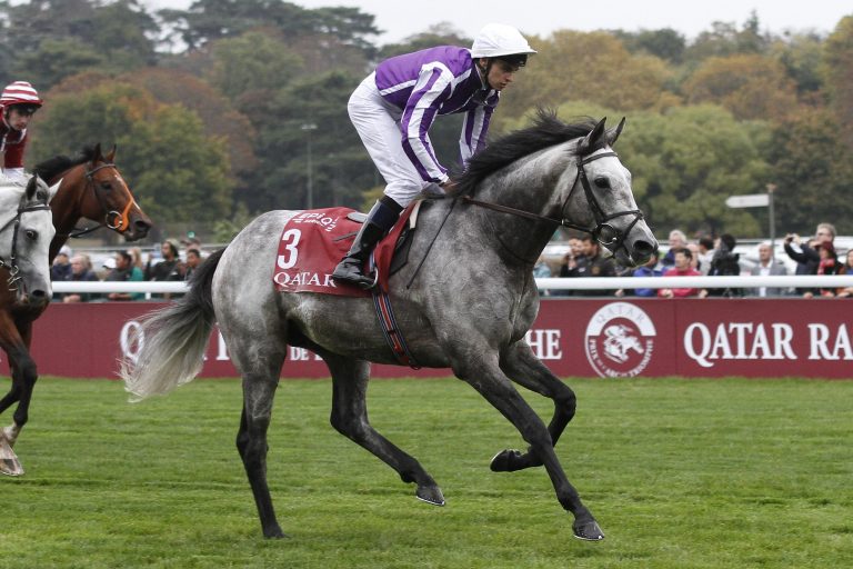 Europäer im Japan Cup nur Außenseiter Europäer im Japan Cup nur Außenseiter